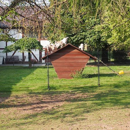 Gut Dankerode Lägenhet Exteriör bild